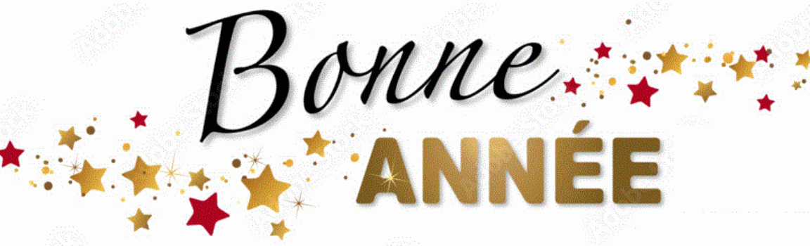 bonne année.gif