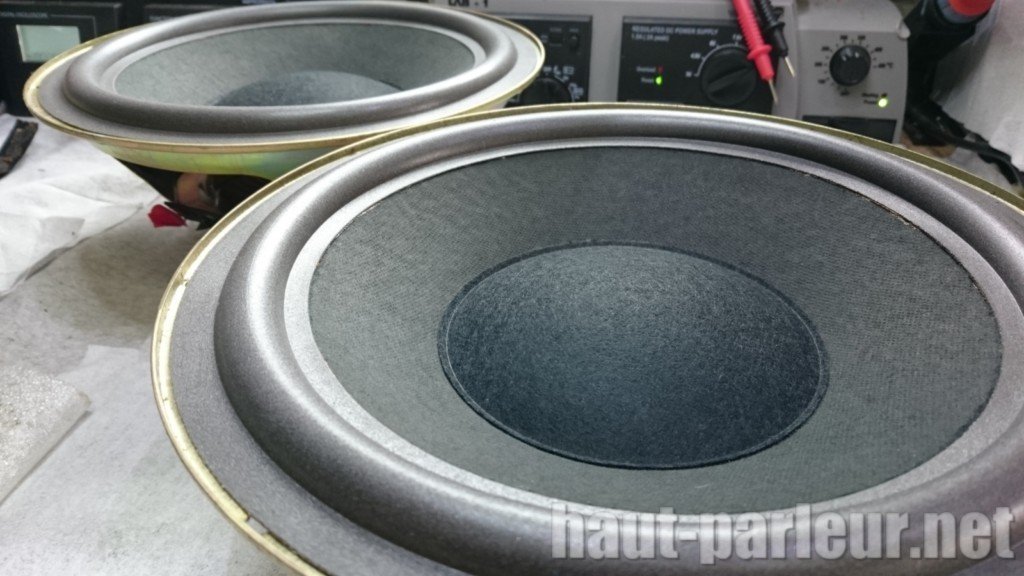 Réparation haut-parleur BOSE 301