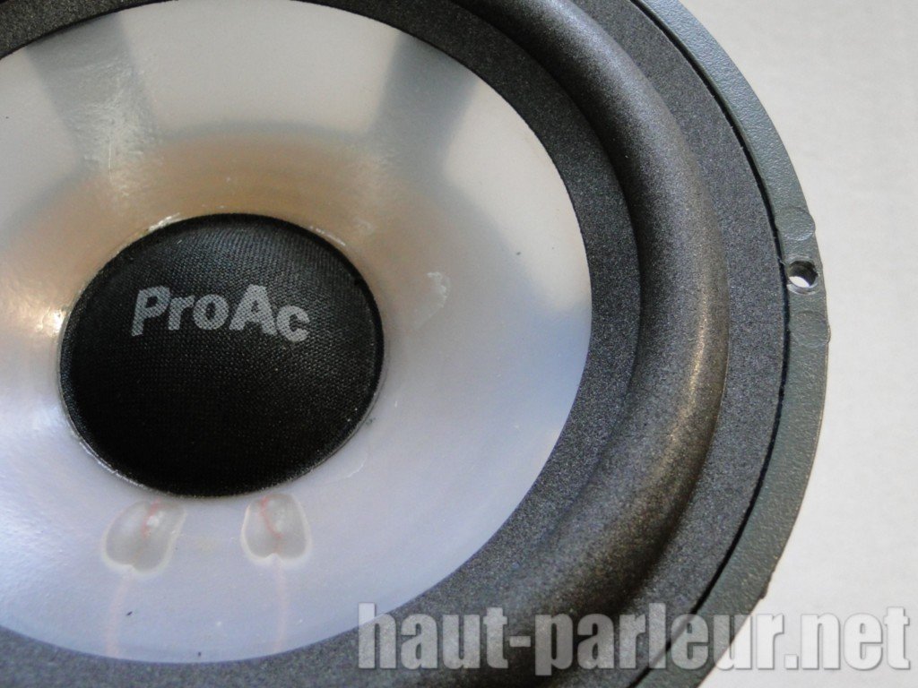 Réparation de haut-parleurs PROAC