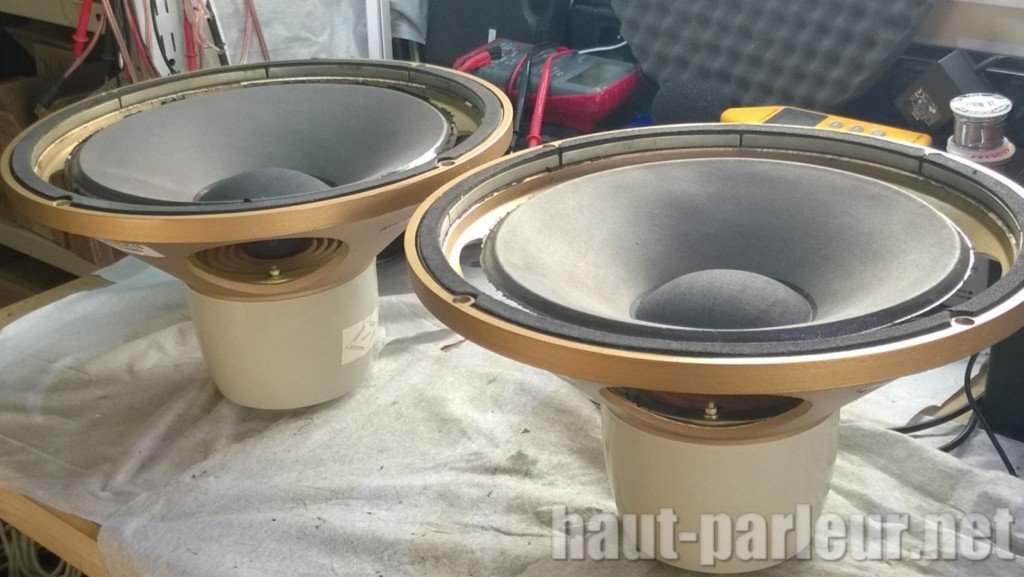 Remembranage haut-parleurs TANNOY