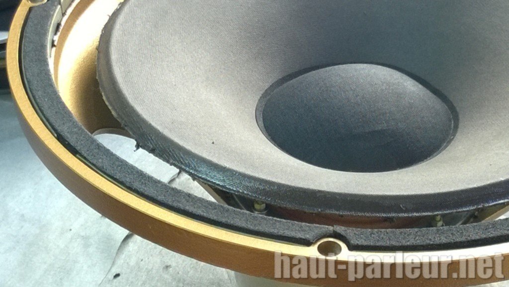Remembranage haut-parleurs TANNOY