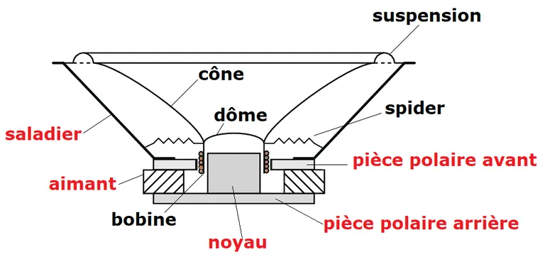 coupe d'un haut-parleur  suspension, cône, spider,saladier, aimant, bobine, noyau, pièces polaire avant, pièce polaire arrière, dôme cache noyau