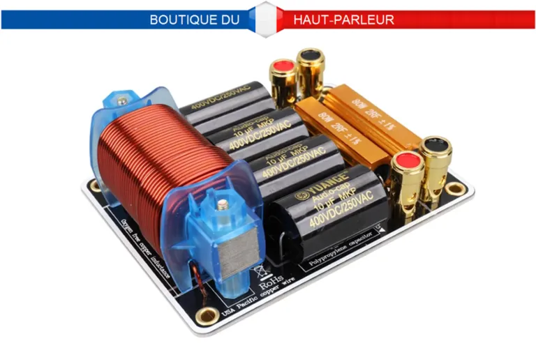 Filtre subwoofer professionnel pour caisson de basse 250 Hz, 1200W, 4-8 ohms
