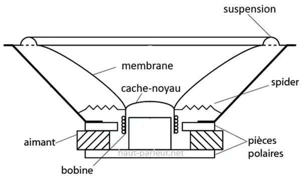 Haut-parleur vu en coupe
