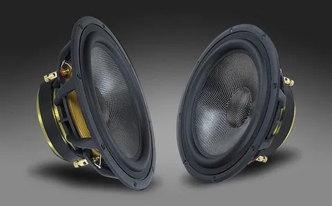 DAVIS Acoustic 25GC10R rénovation des suspensions