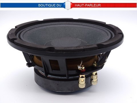 haut-parleur 21cm 100 watts 8 ohms châssis aluminium moulé utilisation hi-fi ou sono