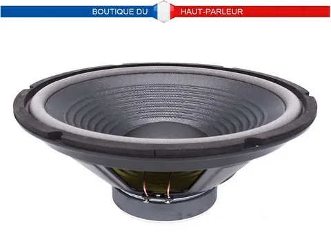Haut-parleur grave Hi-Fi 30 cm 100 watts 8 ohms membrane papier