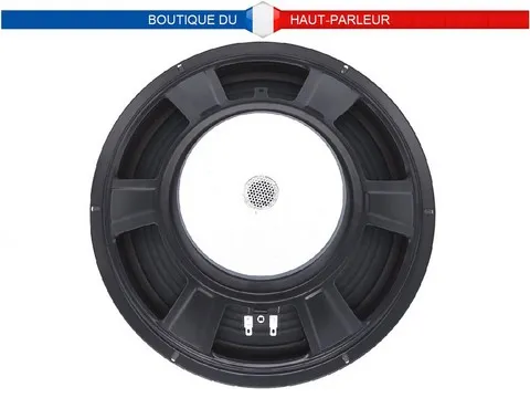 Haut-parleur grave Hi-Fi 30 cm 100 watts 8 ohms membrane papier 09