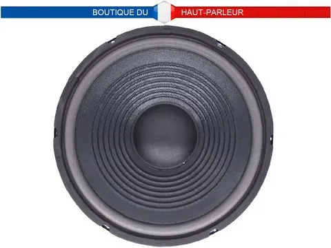 Haut-parleur grave Hi-Fi 30 cm 100 watts 8 ohms membrane papier 09
