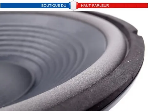 Haut-parleur grave Hi-Fi 30 cm 100 watts 8 ohms membrane papier