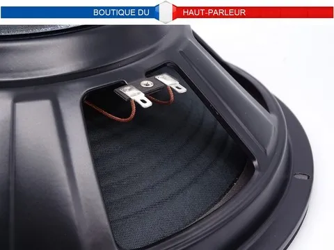 Haut-parleur grave Hi-Fi 30 cm 100 watts 8 ohms membrane papier