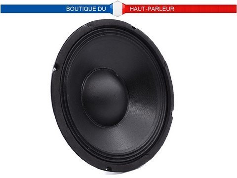 Haut-parleur Hi-Fi 25,4 cm 90/180 watts 8 ohms 91 dB