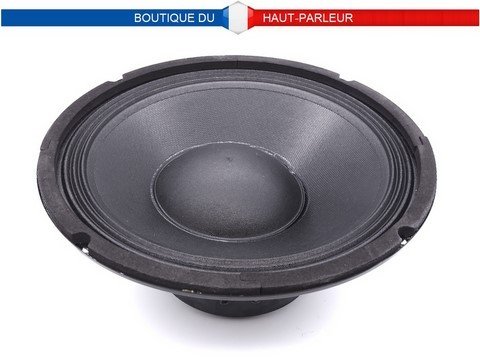 Haut-parleur Hi-Fi 25,4 cm 90/180 watts 8 ohms 91 dB