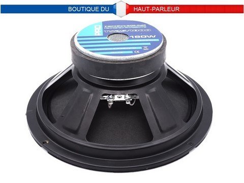 Haut-parleur Hi-Fi 25,4 cm 90/180 watts 8 ohms 91 dB