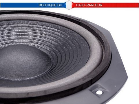 haut-parleur Hi-Fi 27,5x27,5 cm 60 watts 8 ohms 