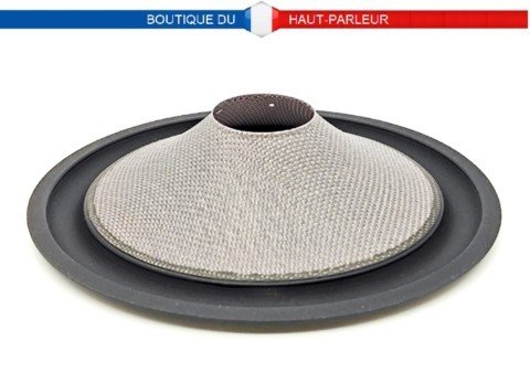Membrane haut-parleur 12,5 cm inusable pour bobine 25 mm