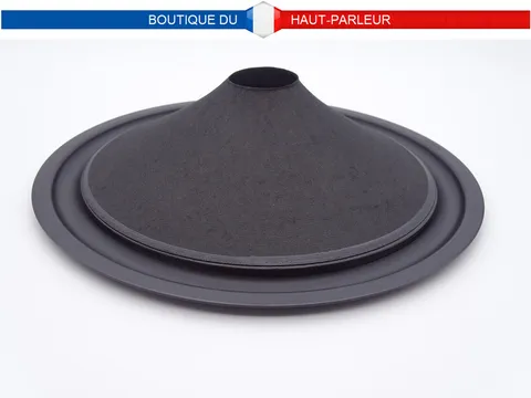 Membrane haut-parleur diamètre 25 cm pour bobine de 36mm cone 25-36C