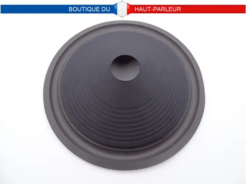 Membrane haut-parleur diamètre 25 cm pour bobine de 36 mm suspension mousse cone 25-36 M