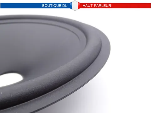 Membrane haut-parleur diamètre 25 cm pour bobine de 36mm cone 25-36 C