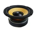 Subwoofer 16,5 cm membrane en kevlar 125W
