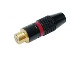 Fiche RCA femelle dorée Capot metallique rouge
