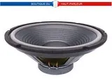 Haut-parleur grave Hi-Fi 30 cm 100 watts 8 ohms membrane papier